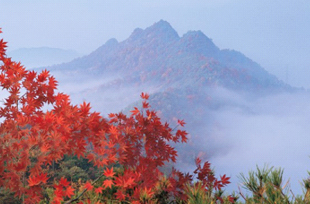 九峰山(クボンサン)の紅葉